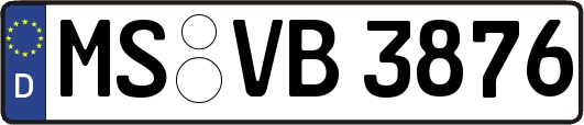 MS-VB3876
