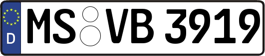 MS-VB3919