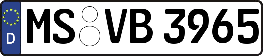MS-VB3965