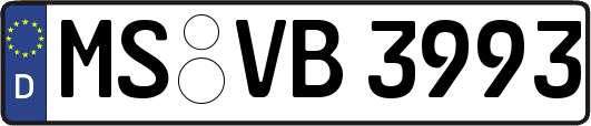 MS-VB3993