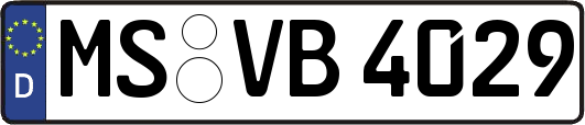 MS-VB4029