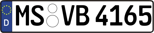 MS-VB4165