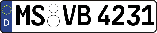 MS-VB4231