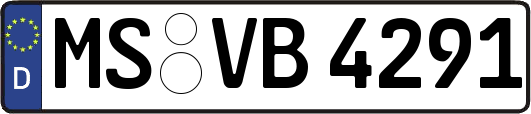 MS-VB4291