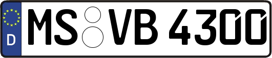 MS-VB4300