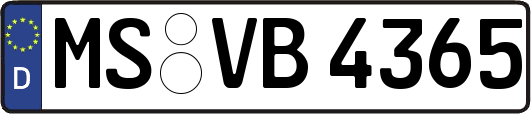 MS-VB4365