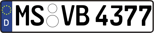 MS-VB4377