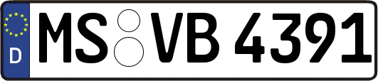 MS-VB4391