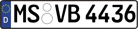 MS-VB4436