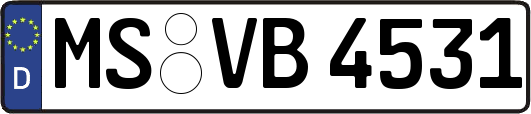 MS-VB4531