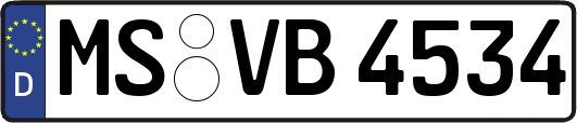 MS-VB4534