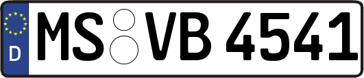 MS-VB4541