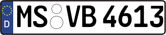 MS-VB4613