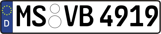MS-VB4919