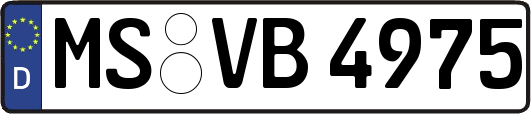 MS-VB4975