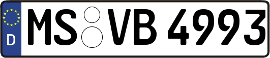 MS-VB4993