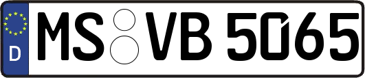 MS-VB5065