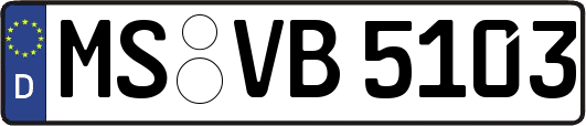 MS-VB5103