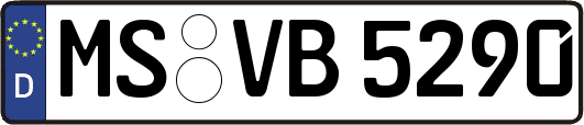 MS-VB5290