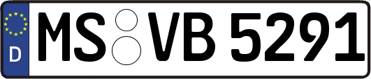 MS-VB5291