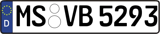 MS-VB5293