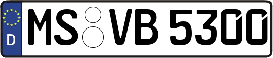 MS-VB5300