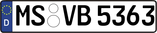 MS-VB5363
