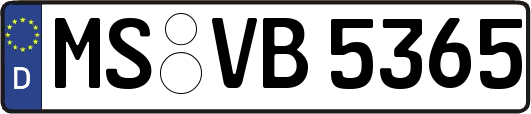 MS-VB5365