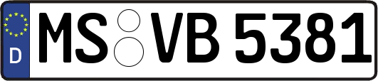 MS-VB5381
