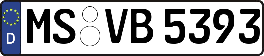 MS-VB5393