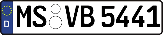 MS-VB5441