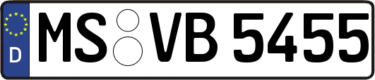 MS-VB5455