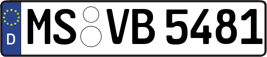 MS-VB5481