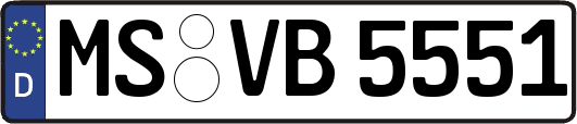 MS-VB5551