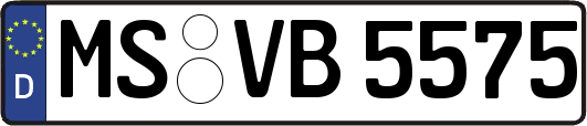 MS-VB5575