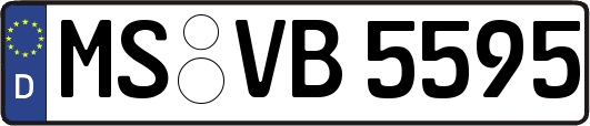 MS-VB5595