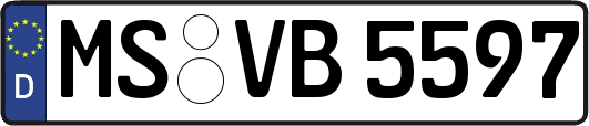 MS-VB5597