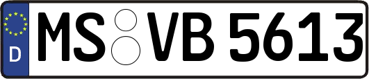 MS-VB5613