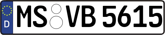 MS-VB5615