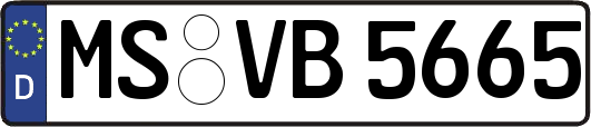 MS-VB5665