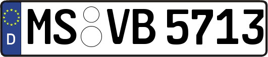 MS-VB5713