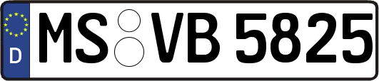MS-VB5825