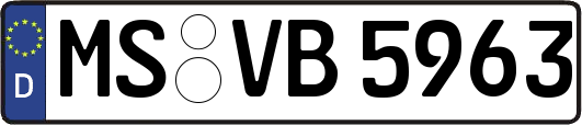 MS-VB5963