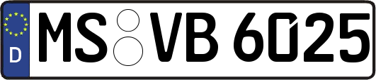 MS-VB6025