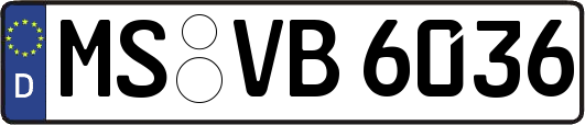MS-VB6036