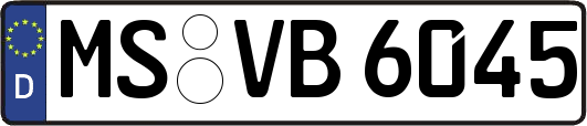 MS-VB6045