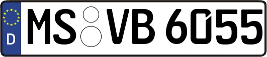 MS-VB6055
