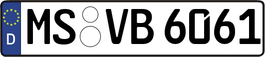 MS-VB6061