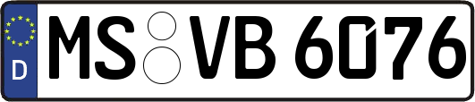MS-VB6076