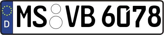 MS-VB6078